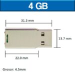 ARMAZON USB PARA PROYECTOS (USB089-U) PLATA