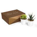 KTC 750 B - SET DE PLANTAS ALISO BLANCO (BLANCO / PLASTICO / CARTON)