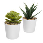 KTC 750 B - SET DE PLANTAS ALISO BLANCO (BLANCO / PLASTICO / CARTON) - Image 2