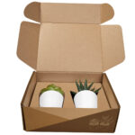 KTC 750 B - SET DE PLANTAS ALISO BLANCO (BLANCO / PLASTICO / CARTON) - Image 3