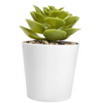 KTC 750 B - SET DE PLANTAS ALISO BLANCO (BLANCO / PLASTICO / CARTON) - Image 4