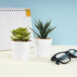 KTC 750 B - SET DE PLANTAS ALISO BLANCO (BLANCO / PLASTICO / CARTON) - Image 6