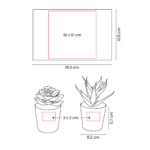 KTC 750 B - SET DE PLANTAS ALISO BLANCO (BLANCO / PLASTICO / CARTON) - Image 7