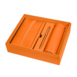 SET 016 O - SET BIRKIN NARANJA (NARANJA / ACERO INOXIDABLE / PLASTICO / CURPIEL / CARTON)