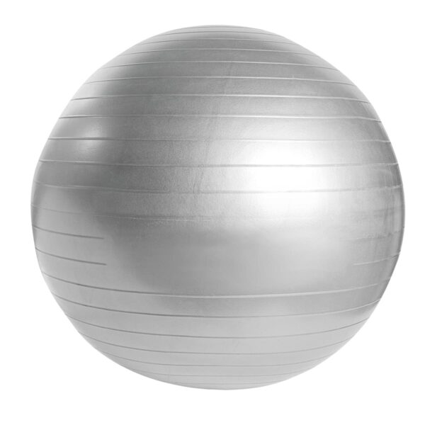 SPO 018 S - PELOTA DE PILATES WELLNESS (PLATA / PVC) - Imagen 4