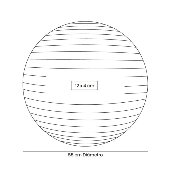SPO 018 S - PELOTA DE PILATES WELLNESS (PLATA / PVC) - Imagen 3