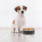 TAZÓN GEMINI AZUL MARINO PT-001A ( PT-001 / PT001 /  ) - Image 5