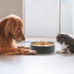 TAZÓN GEMINI AZUL MARINO PT-001A ( PT-001 / PT001 /  ) - Image 4