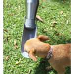 BOTELLA VLORE GRIS PT-006G ( PT-006 / PT006 /  ) - Image 4