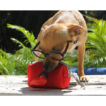 PORTA BOLSAS ROCHOR AZUL MARINO PT-008A ( PT-008 / PT008 /  ) - Image 3