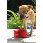 PORTA BOLSAS ROCHOR AZUL MARINO PT-008A ( PT-008 / PT008 /  ) - Image 2