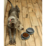 PLATO SCOGLITTI GRIS PT-010G ( PT-010 / PT010 /  ) - Image 7