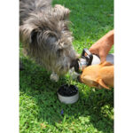 BOTELLA MALTA ROJO PT-011R ( PT-011 / PT011 /  ) - Image 5