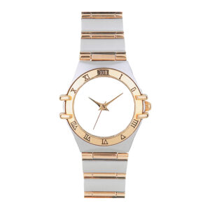 RELOJ DE PULSO PLATA CABALLERO RP-024 ( RP-024 / RP024 / RELOJES DE PULSO )