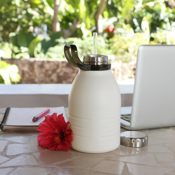 TERMO CAMICELLE GRIS TE-179G ( TE-179 / TE179 / TERMOS ) - Imagen 2