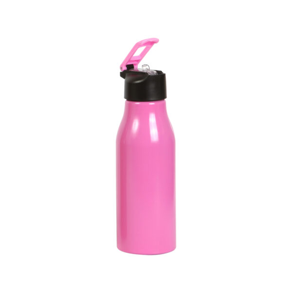 BOTELLA DONGOLA ROSA TE-186RS ( TE-186 / TE186 / TERMOS )