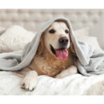 FRAZADA DE FELPA HELSINKI GRIS TX-203G ( TX-203 / TX203 / ACCESORIOS DE VIAJE,DECORACIÓN ) - Image 3