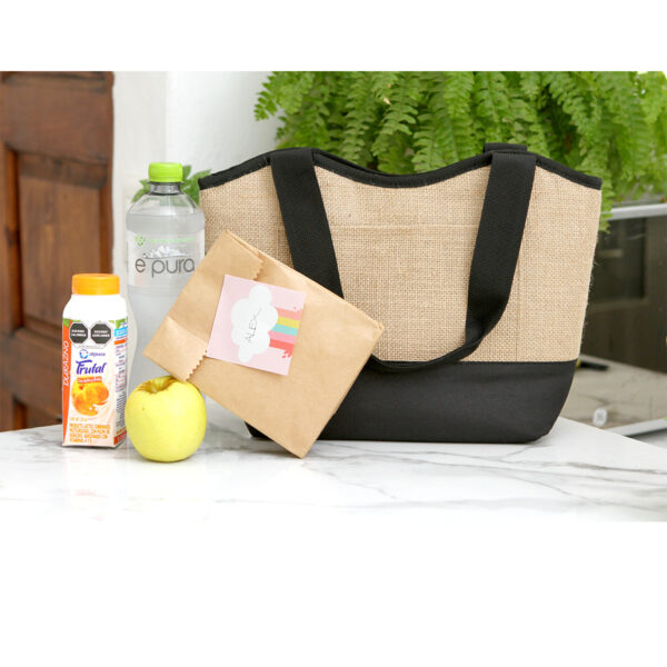 BOLSA HIELERA FIDONI AZUL ACERO TX-219A ( TX-219 / TX219 /  ) - Imagen 3