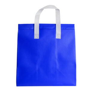 BL 260 ECOLÓGICOS ZAZU  (AZUL / NON WOVEN / BL-260 / BL260)